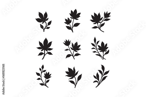 Collection of nine black botanical leaf sprigs