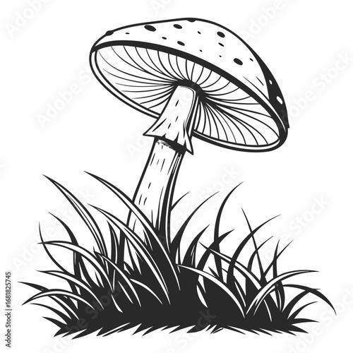 mushroom single silhouette