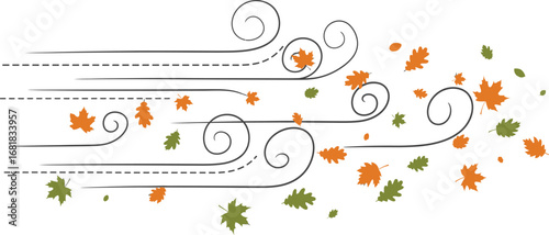 Autumn leaves blowing in the wind vector illustration design