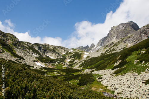 high mountain landscape in high tatras