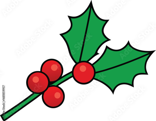 Festive red holly berry branch vector illustration for christmas and winter holiday decorations