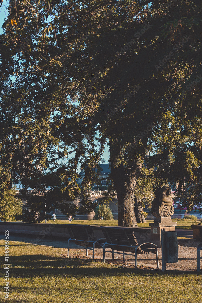 Fototapeta premium Peaceful park with green trees, grass and benches in soft sunlight. Relaxing natural landscape.