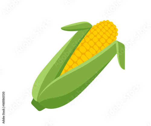 Fresh corn cob with green husks. Summer vegetable for healthy eating. Farm harvest. Simple graphic design illustration