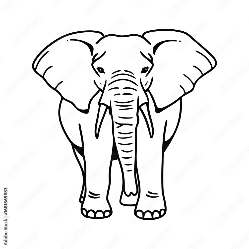 Fototapeta premium Black and white drawing of an elephant from the front