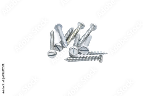 Wood screw or dowel on a white background