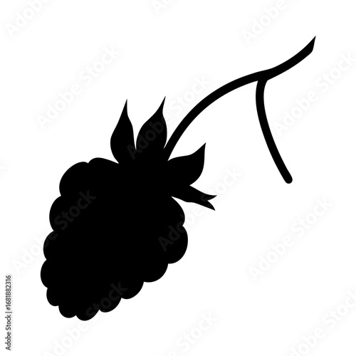 Black silhouette of a ripe blackberry on a branch with leaves