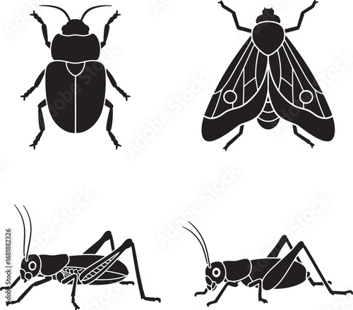 Silhouettes of diverse insects including beetle moth and cricket displayed in vector format