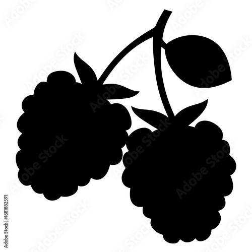 Two blackberries on a branch in a bold, minimalist black silhouette