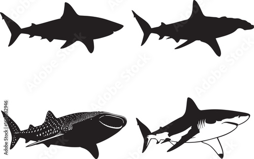 Variety of Shark Silhouettes Featuring a Great White a Hammerhead and a Whale Shark