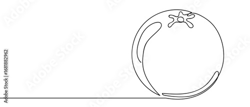 Continuous line of orange fruit. Single line art hand drawn vector. Editable stroke.