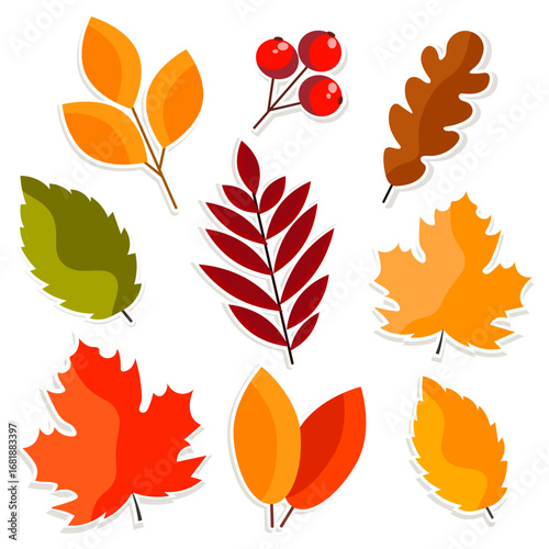 set of autumn stickers on white background