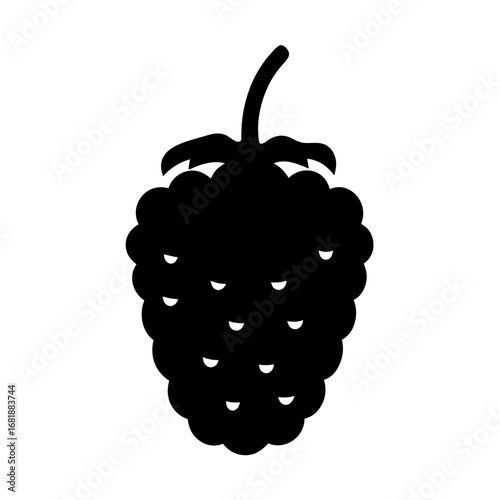 Black raspberry silhouette, a sweet, single fruit with visible segments and stem