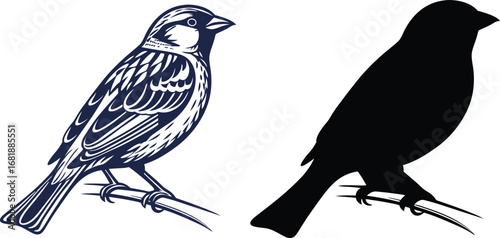Songbird and Silhouette Illustration