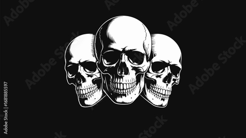 Three stark white skulls with detailed features emerge from a solid black background, conveying mystery and power.