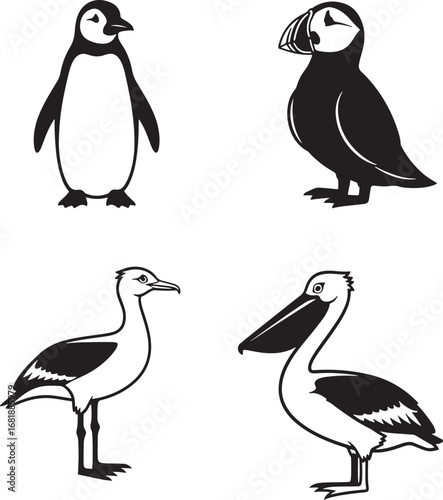 Black and white vector illustration featuring penguin puffin seagull and pelican wildlife animals