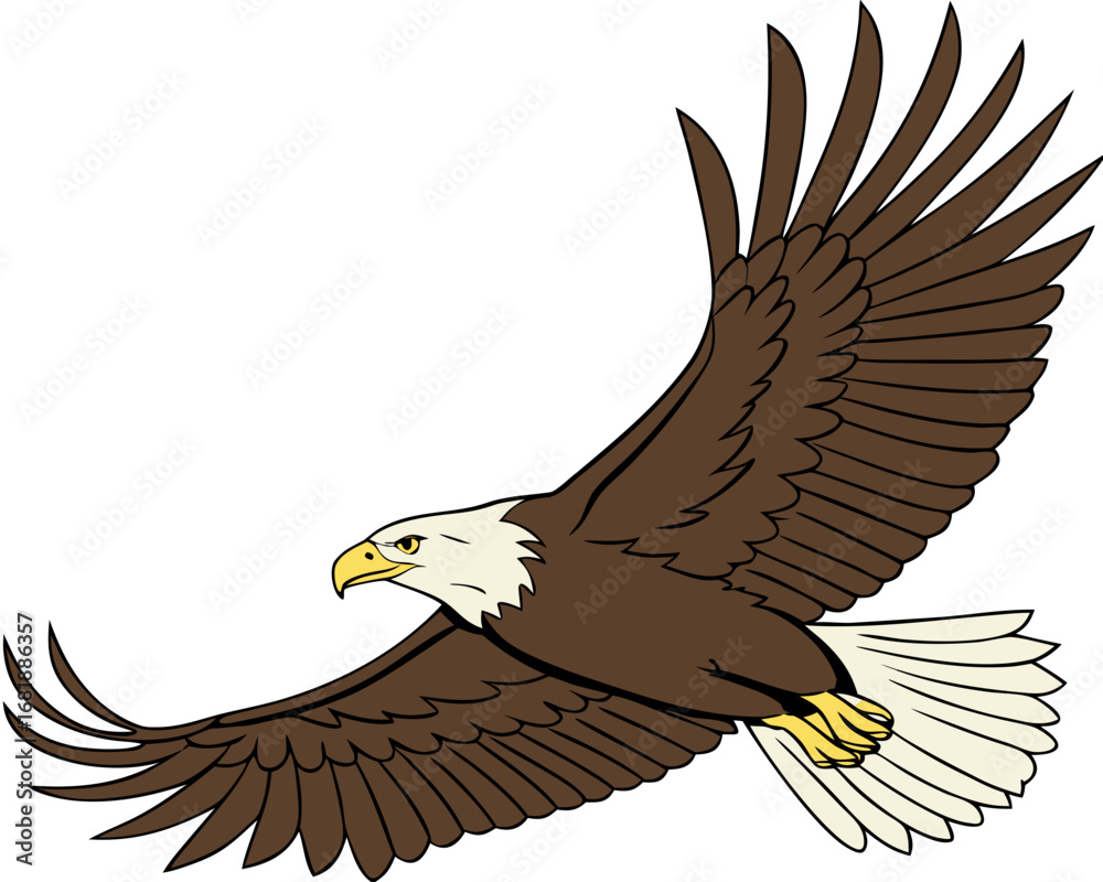 Naklejka premium majestic bald eagle soaring with outstretched wings in flight illustration isolated on white background.