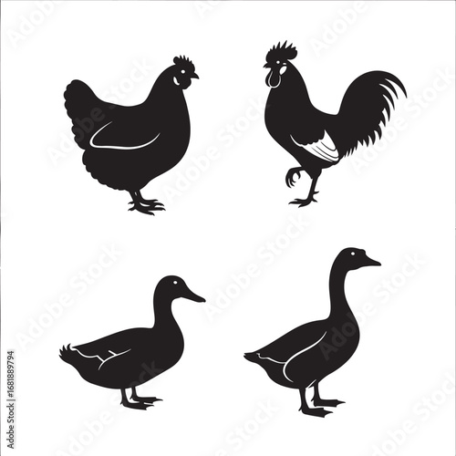 Farm animal silhouettes chicken rooster duck and goose isolated on white background vector illustration