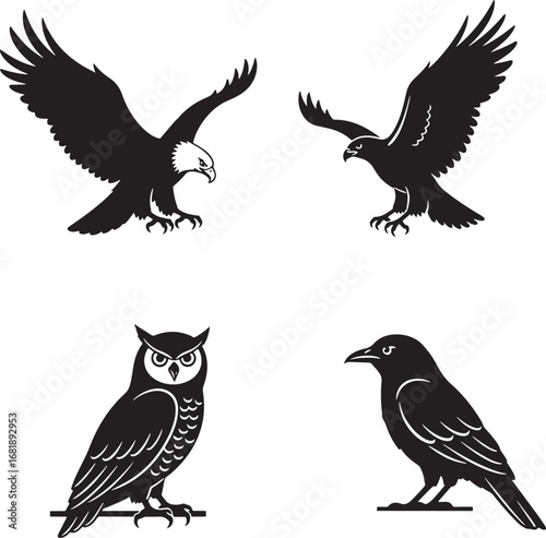 Four birds silhouettes isolated on white background representing different species of birds