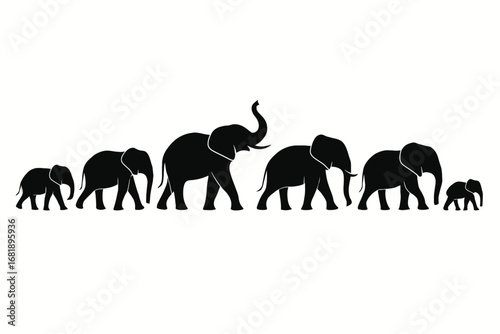 elefant walking
