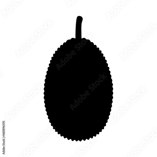 Silhouette illustration of a spiky tropical fruit with stem isolated on white