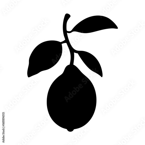 Silhouette of a single lemon still attached to the branch with leaves