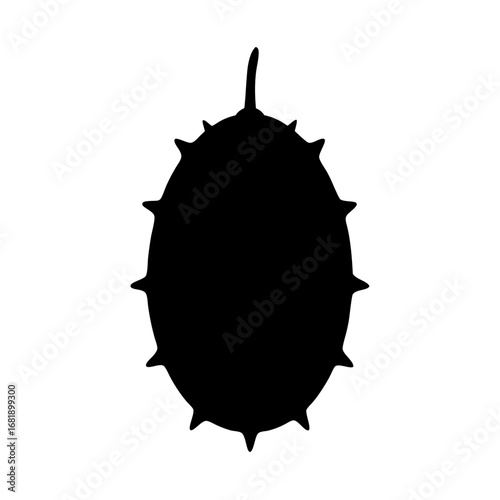 Black silhouette of a spiky fruit object on a white background