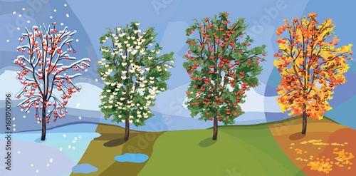 Rowan tree (Sorbus aucuparia) at four seasons: spring, summer, autumn, winter. Conceptual change of seasons	
