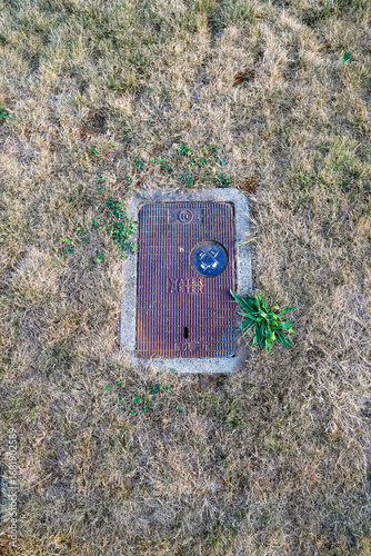 Water Meter in Parched Grass: Urban Utility Amidst Dry Conditions