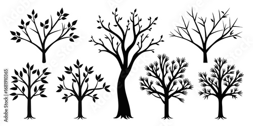 Collection of diverse tree silhouettes with and without leaves isolated on white background
