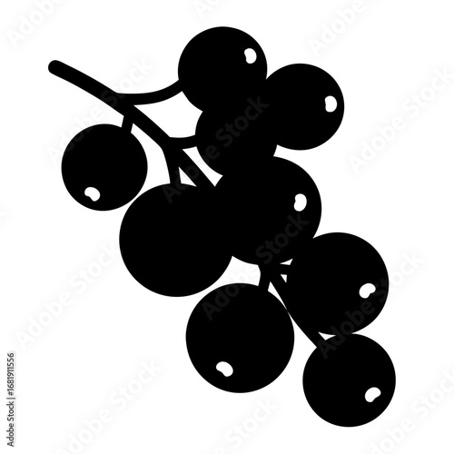 Stylized black elderberry branch with berries in black and white art