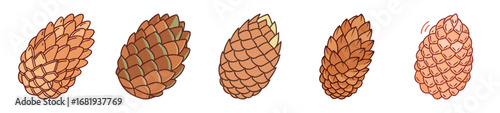 Five fir cones illustrated in a cartoon style with different color schemes