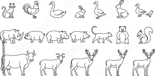 Outlines of various animals including mammals and birds on white