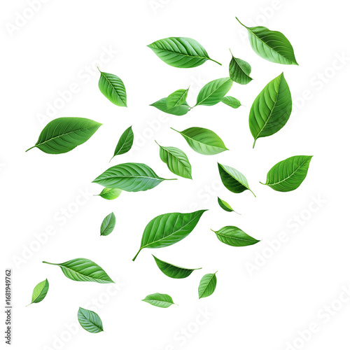 Realistic Green Leaves Floating in Air Isolated on White Background