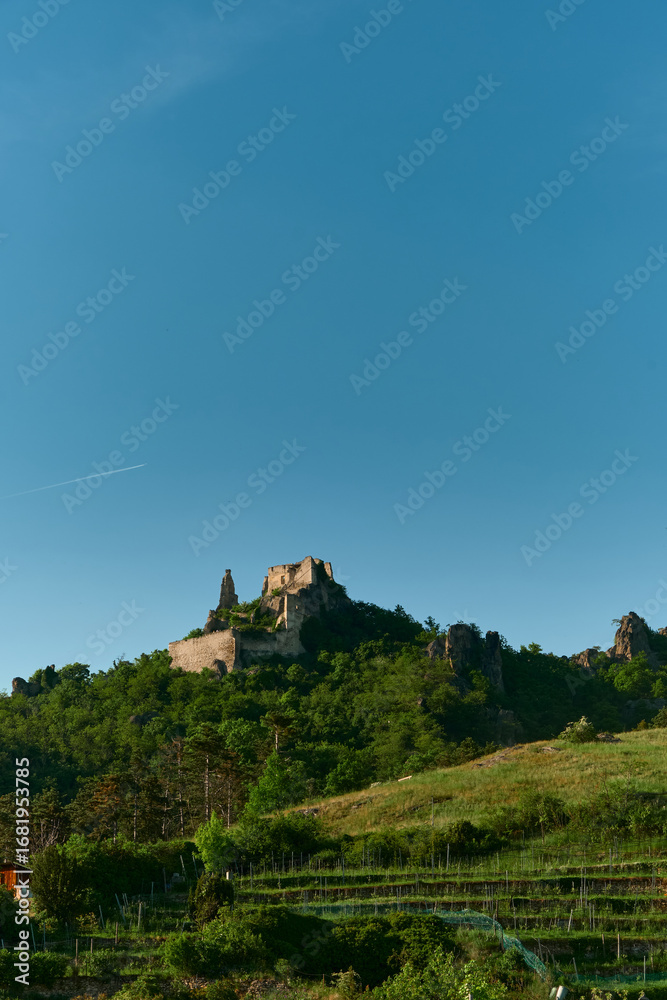 Obraz premium Photo of medieval castle ruins on a hill, viewed over vineyard terraces and a forested hill under a clear blue sky. Scenic and historic landscape.