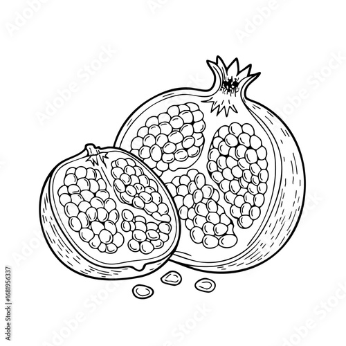 buah2an doodle-13Black and white line art illustration of two halved pomegranates showing seeds, with loose arils. Rustic fruit drawing on white background.