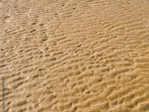 The sand is brown and has a lot of texture. It looks like it has been disturbed by the wind