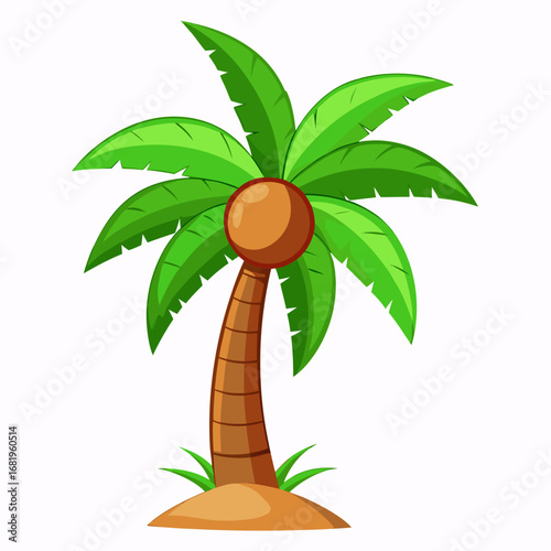 palm tree vector illustration