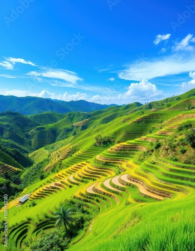 Emerald rice terraces cascade down lush hillsides under a vibrant blue sky, clouds, texture, green