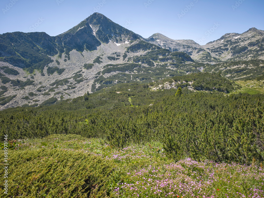 Fototapeta premium Pirin Mountain near Popovo Lake, Bulgaria