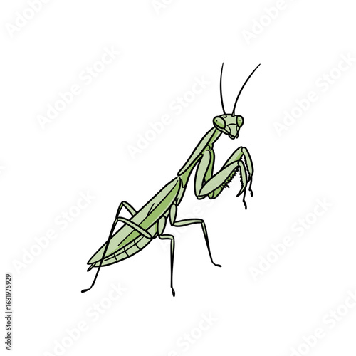 Green mantis insect illustration on white background doodle icon, simple hand-drawn outline, doodle style, minimal black line, isolated on white 
