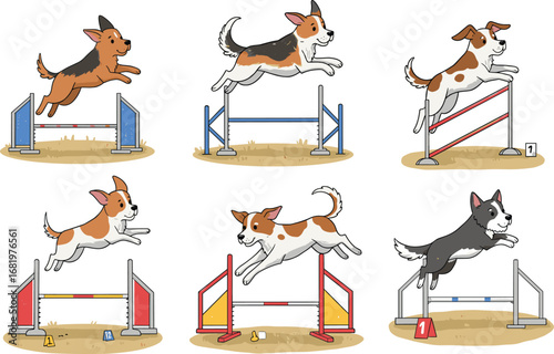 Energetic dogs performing agility jumps in obstacle course competition, training and running outdoors