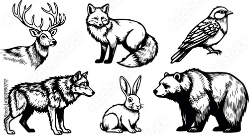 Wild animals collection deer fox wolf rabbit bear bird black and white vector illustration 