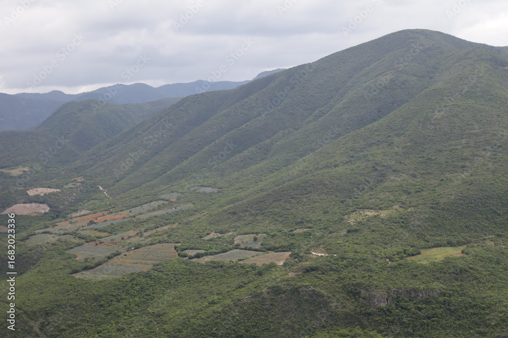 Fototapeta premium Foggy mountain landscape in the Sierra de Oaxaca, Mexico,