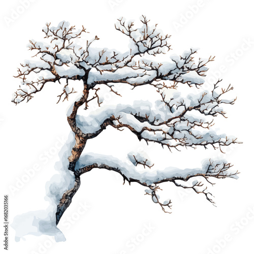 Snow-covered Branch, watercolor clipart vector, isolated on a white background.