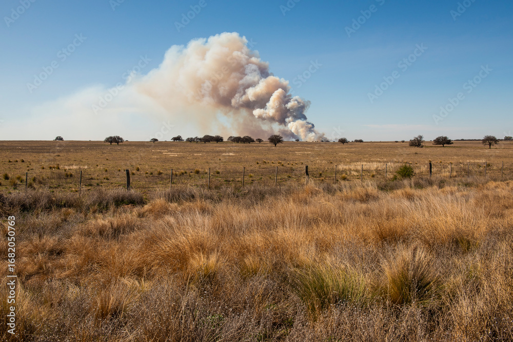 Fototapeta premium Grassland fire in La Pampa Province, Patagonia, Argentina.