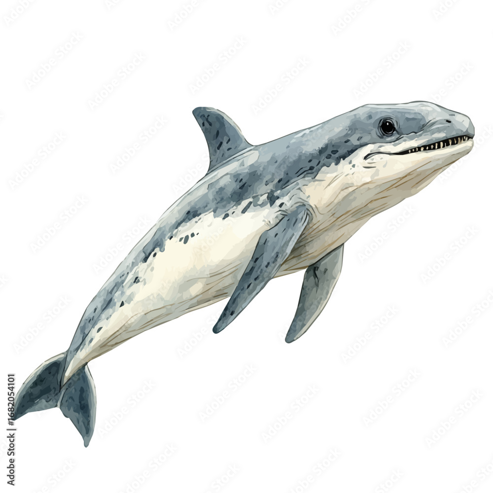 Fototapeta premium Plesiosaurus, watercolor vector, isolated on a white background.