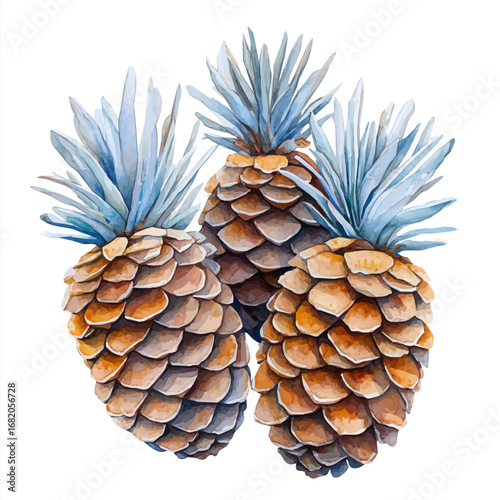 Pinecones, watercolor drawing vector, isolated on a white background.