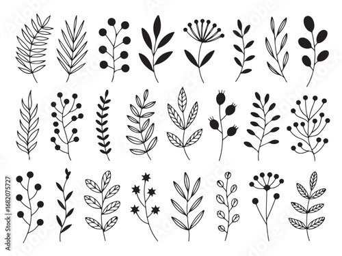 Botanical Line Art: 24 Elegant Floral & Leaf Elements for Design