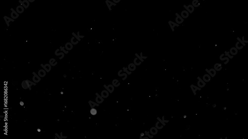 Natural Organic Dust Particles Floating On Black Background. Glittering Sparkling Particles Randomly Spin In The Air With Bokeh. Dynamic Particles With Fast And Slow Motion. Shimmering Dust In Space.	