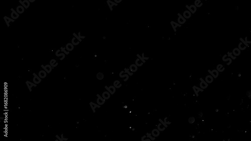 Natural Organic Dust Particles Floating On Black Background. Glittering Sparkling Particles Randomly Spin In The Air With Bokeh. Dynamic Particles With Fast And Slow Motion. Shimmering Dust In Space.	